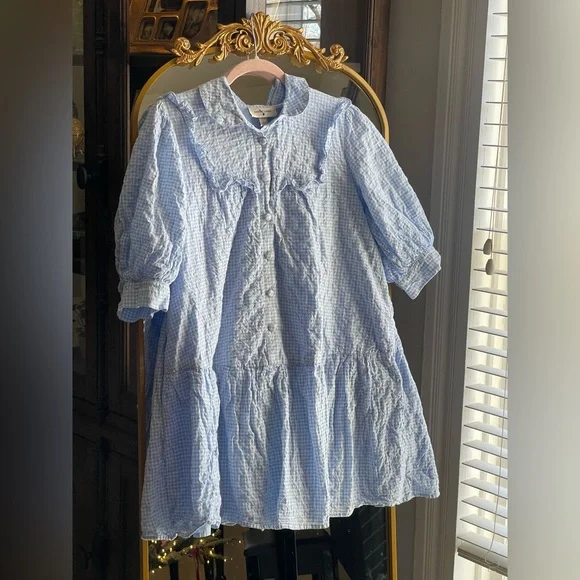 Sandy Liang x Target Blue Gingham 3/4 Sleeve Shirtdress Dress - Picture 2 of 11